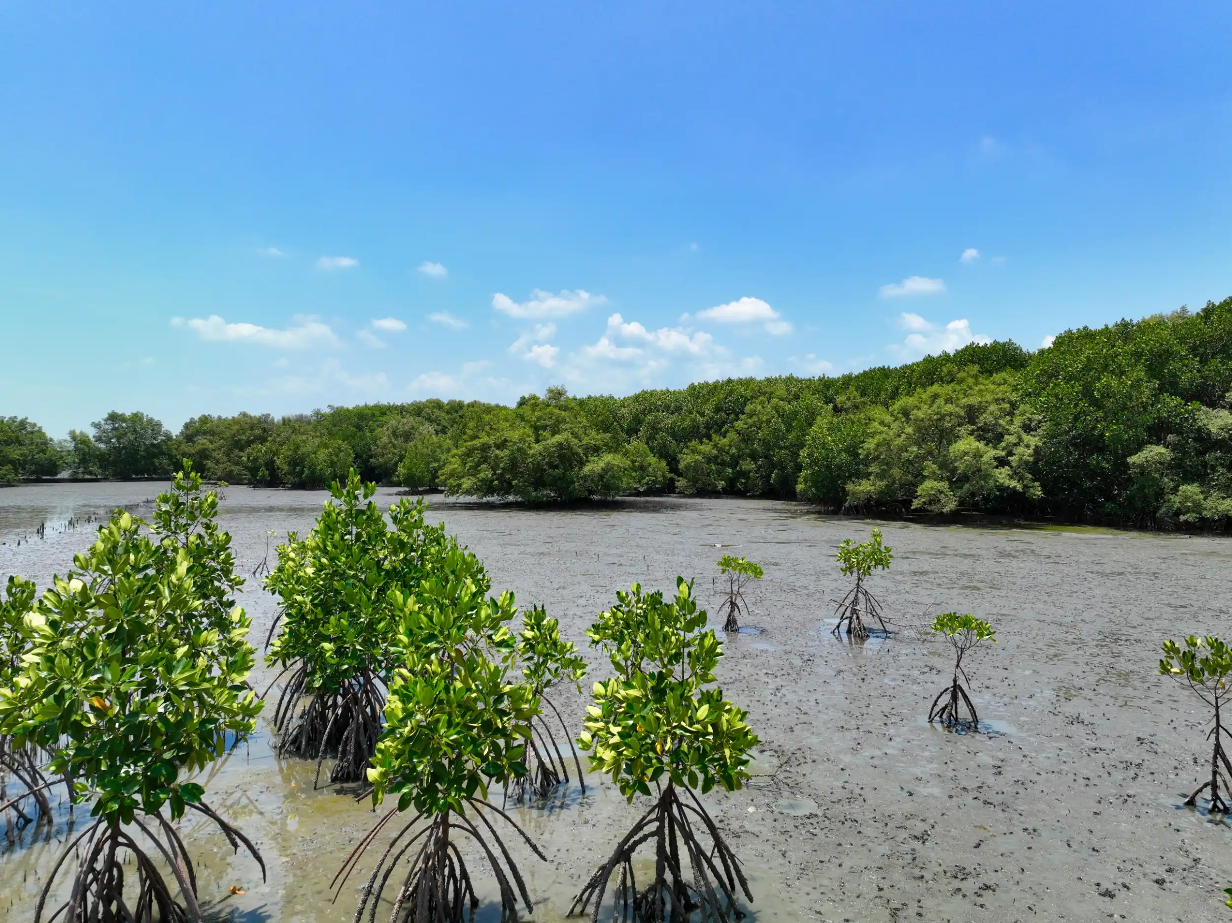 sector-finance-nature-based