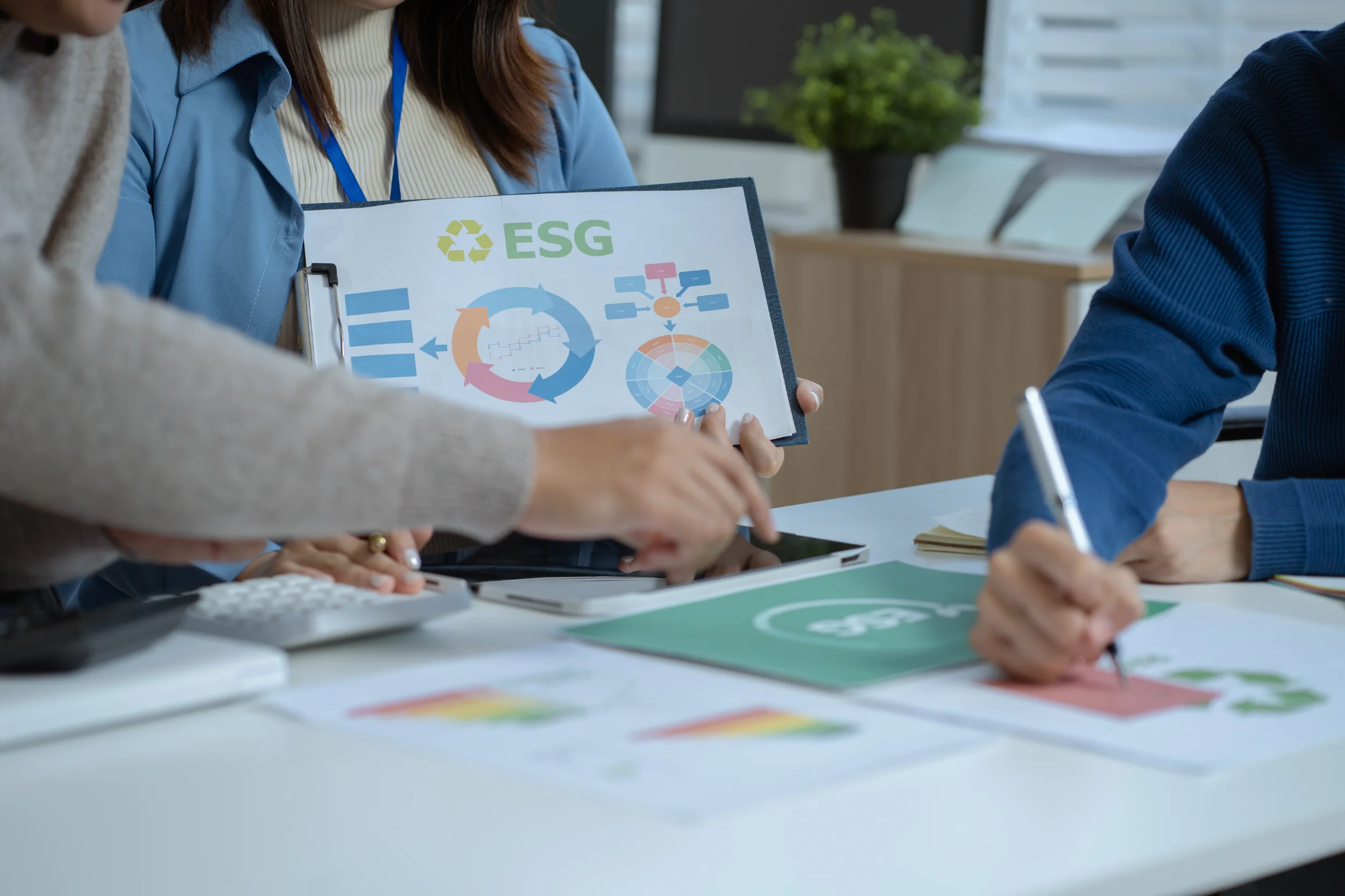 sector-finance-training
